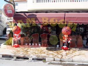 Pentax Digital Camera